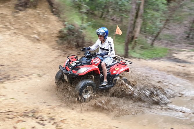 Noosa Quad Bike Tours - Exploring Woondum National Park