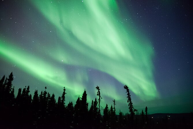 Northern Lights Viewing at Murphy Dome - Safety Measures and Concerns