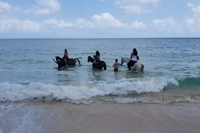 Ocho Rios Private Horse Riding, River Tubing and Rafting[Entry Fee Not Included] - Booking Information