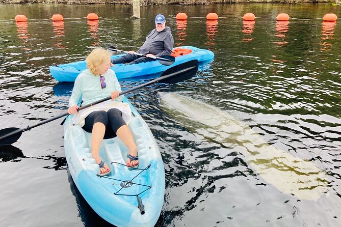 Orlando Manatee and Natural Spring Adventure Tour at Blue Springs - Tips for Participants