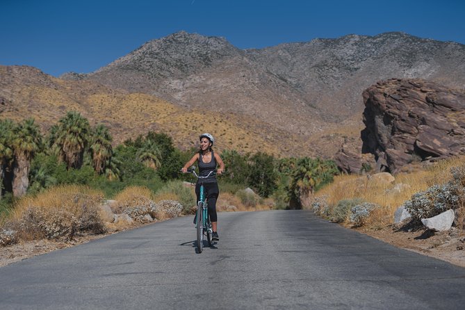 Palm Springs Indian Canyons Bike and Hike - E-Bike Upgrade Options