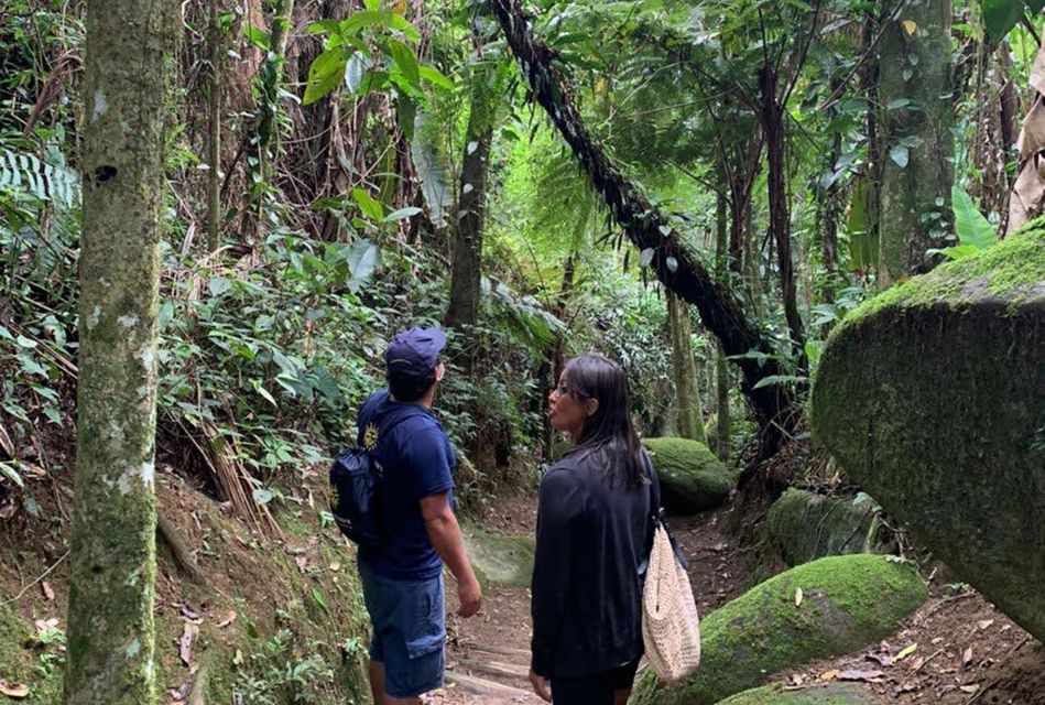 Paraty: Gold Trail Rainforest Hiking Tour - Visitor Reviews and Ratings