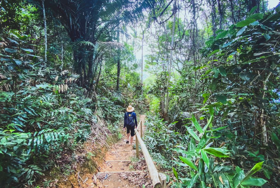 Paraty: Sono Beach Half-day Tour - Hiking and Beach Activities