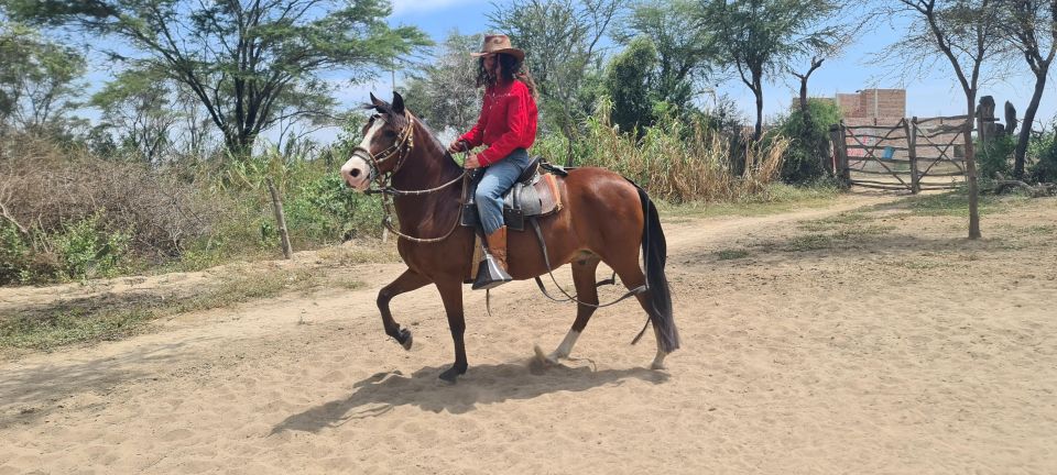 Peru, Chiclayo: 1 Day Horseback Riding and Ancient Pyramids - Transportation Options