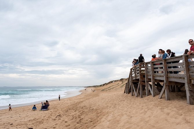 Phillip Island Penguin, Brighton Beach, Moonlit Sanctuary From Melbourne - Tour Logistics and Details