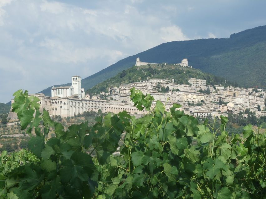 Pic Nic Deluxe Assisi and Wine Tasting 5 Wines - Customer Reviews