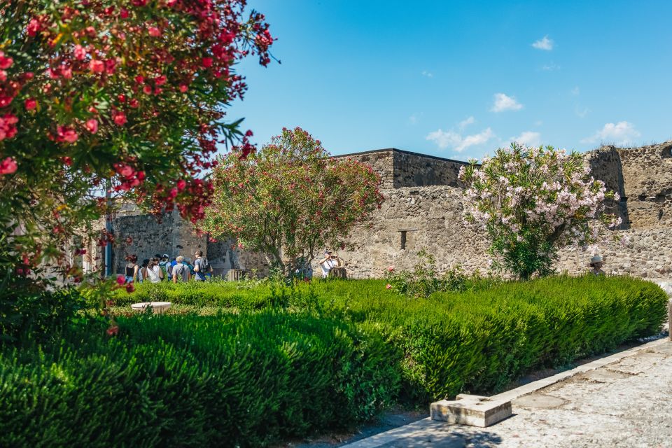 Pompeii: Archaeological Park Tour With Ticket on Request - Booking Process and Options