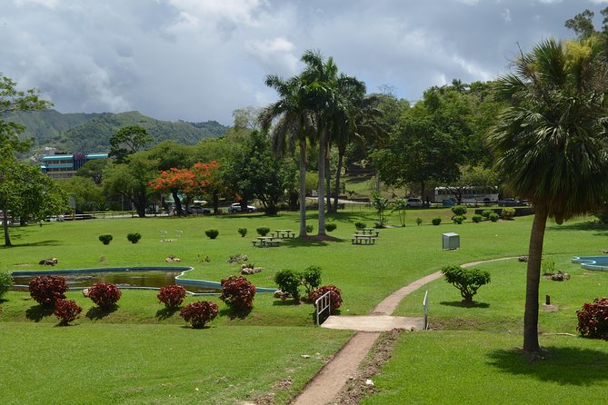 Port of Spain and Fort George Sightseeing Tour - Culinary Highlights on Tour