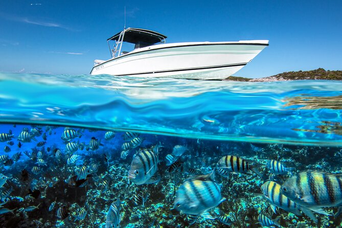 Private 4 Hour Rose Island Charter Snorkeling Turtles & Beaching - Booking and Cancellation Policies