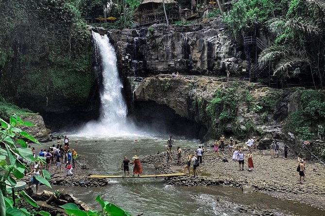 Private Bali Tour: Wonderful Ubud With Swing - Contact and Support