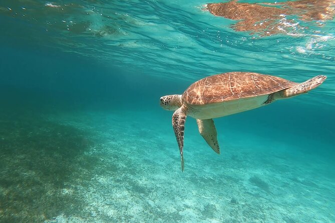 Private Boating Adventure for Snorkeling or Fishing in Nassau - 38FT Boat - Ideal For Families and Groups