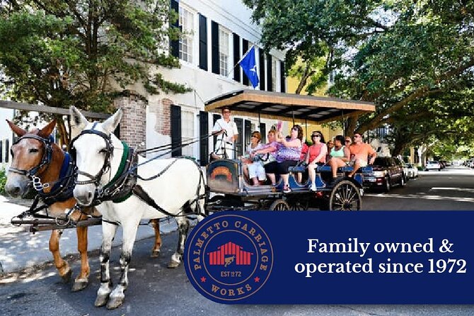 Private Daytime or Evening Horse-Drawn Carriage Tour of Historic Charleston - Accessibility Considerations