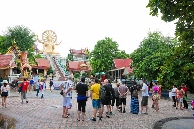 Private Group City Tour Around Koh Samui - Common Issues and Resolutions