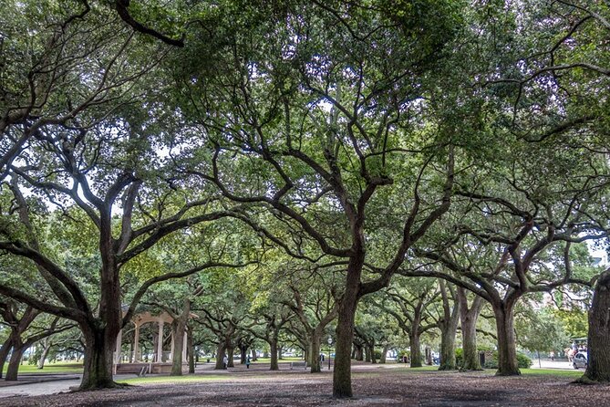 Private Historic Horse & Carriage Tour of Charleston - Accessibility Information