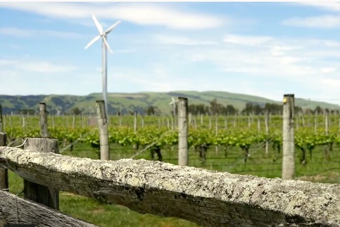 Private Martinborough Wine Tour in an Electric Vehicle - Tesla Model Y - Experience Unique to Martinborough