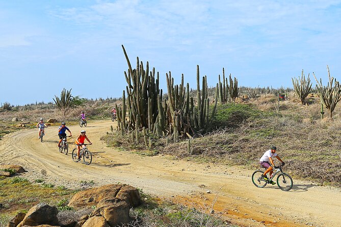 Private Mountain Bike Tour in Aruba - Booking Information and Policies