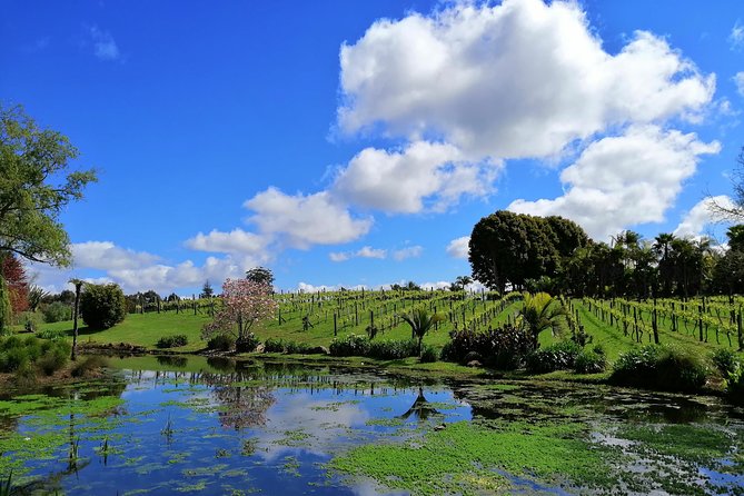 Private Shore Excursion: Bay of Islands Tour With Wine Tasting - Group Size and Accessibility