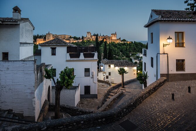 Private Tour: 4 Cultures, Granada in Depth - Accessibility Information