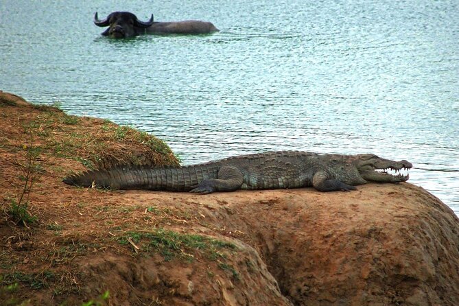 Private Tour to Udawalawe National Park - Operating Schedule