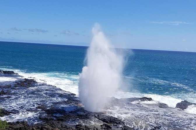 Private Waimea Canyon Tour - Cultural Insights During Tour