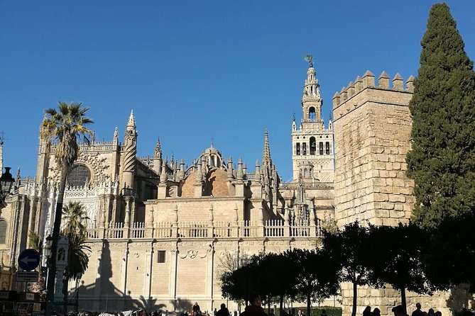 Private Walking Tour in Seville City Center - Important Tour Details