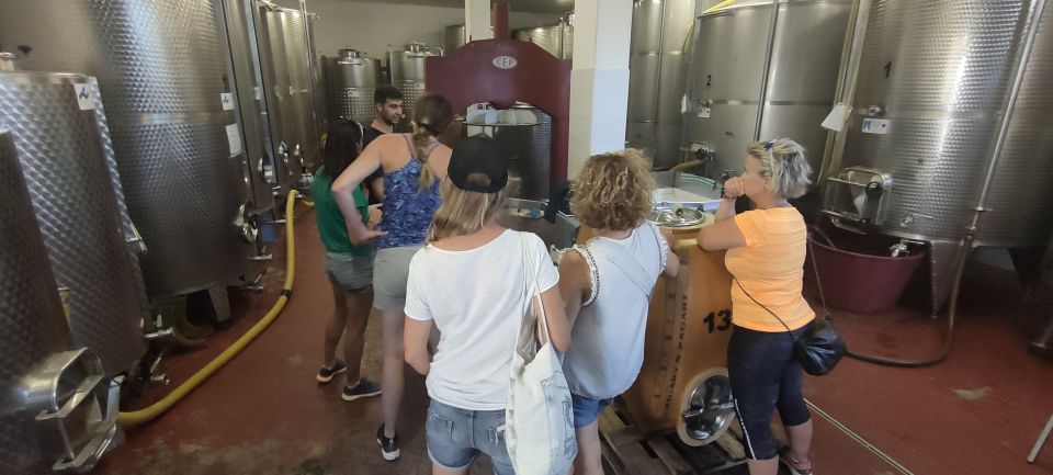 Puglia/Bari: Primitive Wine Tasting in Gioia Del Colle - Accessibility Features