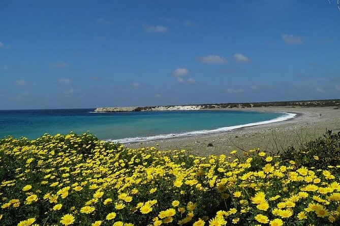 Quad or Buggy Tour From Coral Bay to Lara Bay - Customer Reviews and Ratings