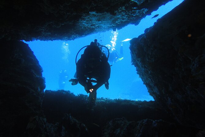 Qualified Diver 1 Tank Dive in Mykonos - Best Time to Dive