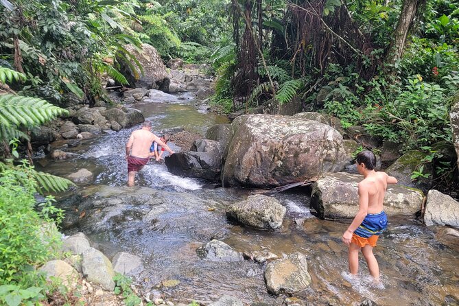 Rain Forest Waterfall Discovery With Natural Mud Bath - What to Bring and Prepare