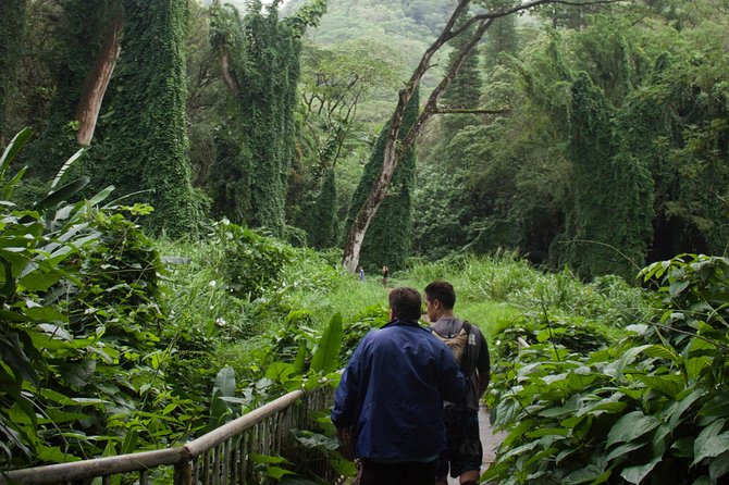 Rainforest Waterfall Trail and Shuttle Service - Customer Reviews