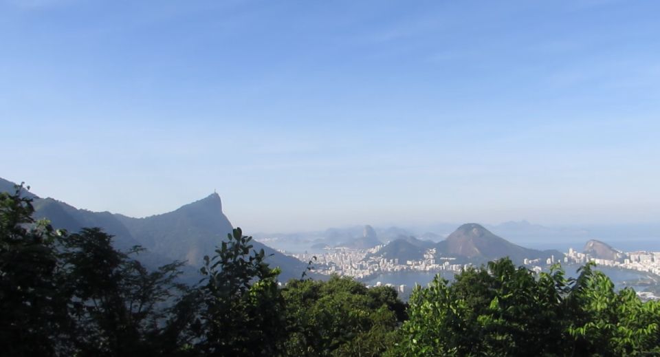 Rio: Botanical Garden, Tijuca Forest, and Parque Lage Tour - Review Insights