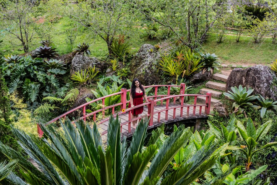 Rio De Janeiro: Great Photos in Amazing Backgrounds - Tips for Capturing Perfect Photos