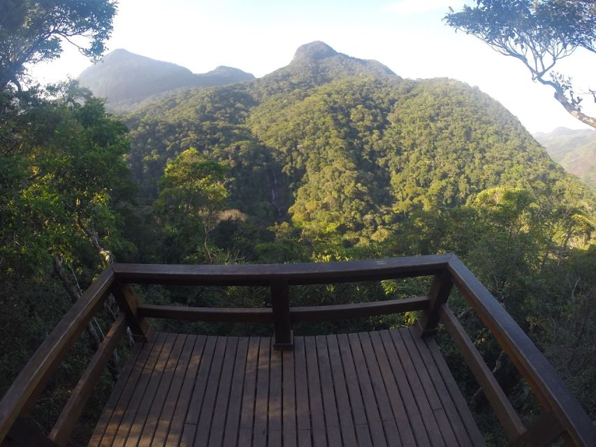 Rio De Janeiro: Tijuca National Park Ecotour - Environmental Significance