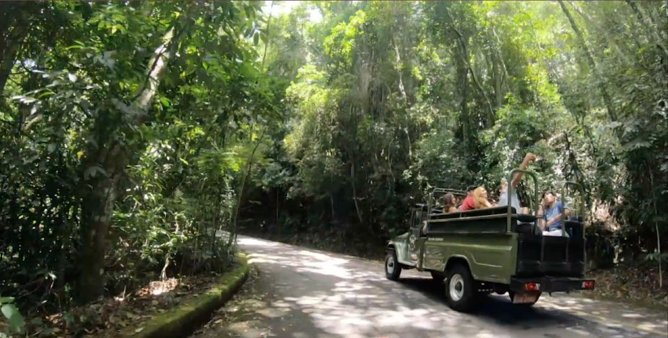 Rio: Jeep Tour to Botanical Garden and Tijuca Forest - Tips for Tour Participants