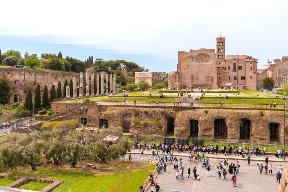 Rome: Colosseum, Forum, and Palatine Tour - Customer Reviews and Ratings