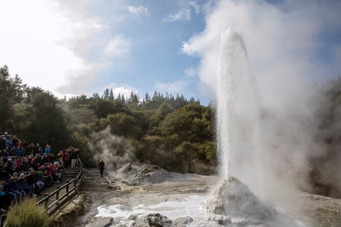 Rotorua & Waitomo Caves Day Tours From Auckland - What to Expect During the Tour