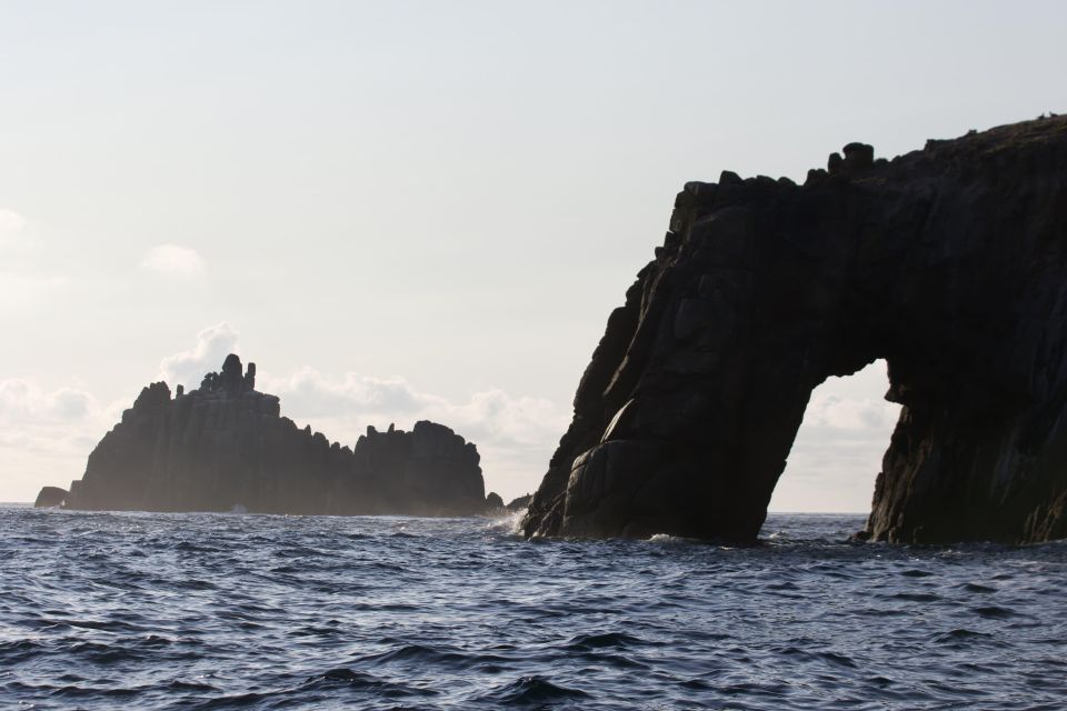 Rounding Cornwall Boat Trip Experience. (Departing Hayle) - Wildlife and Scenic Highlights