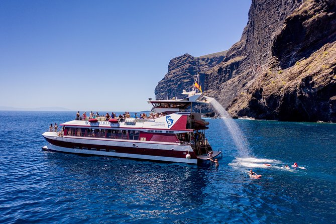 Royal Delfin - 45H Dolphin & Whale Watching - Los Gigantes Masca - Lunch & Swim - Accessibility Information