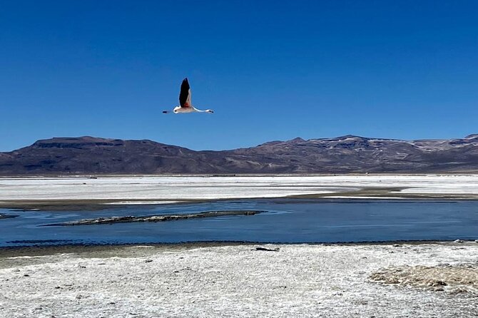 Salinas Lake - National Reserve PRIVATE TOUR Min 2 People - Pricing and Payment