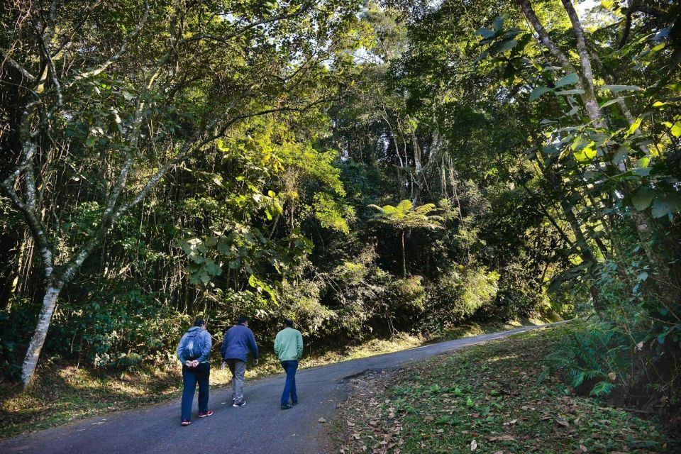 Sao Paulo Private Half Day Ecotour - Wildlife Encounters