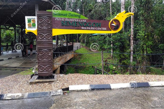 Sarawak Orangutan Semenggoh Wildlife Centre Tour - Reviews and Traveler Feedback