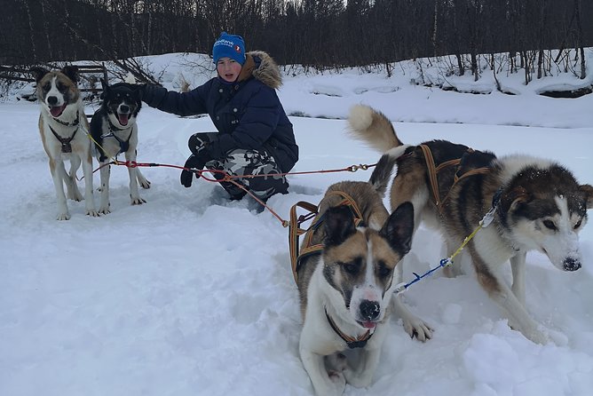 Sled Trip With Husky in the Alta Valley - Detailed Tour Itinerary