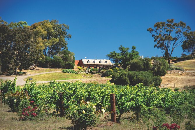 Small Tour Barossa Valley Voyager Tour From Adelaide - Scenic Views and Attractions