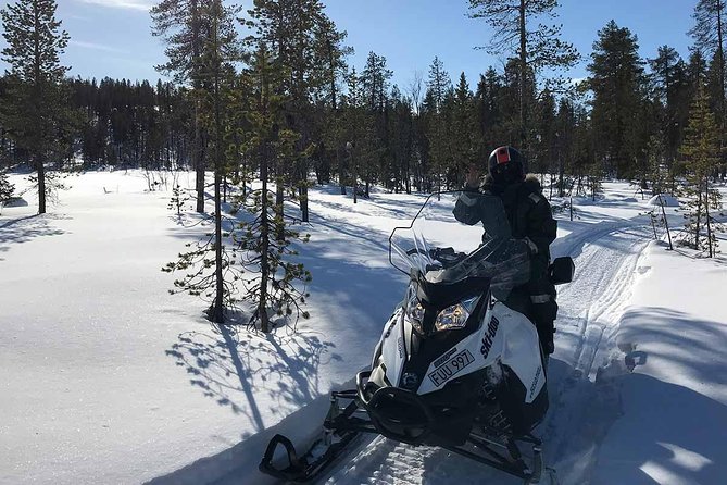 Snowmobile Arctic Adventure - Customer Reviews and Highlights