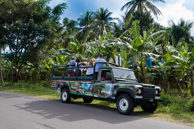 Soufriere Full-Day Land and Sea Combo Tour - Accessibility and Dietary Needs