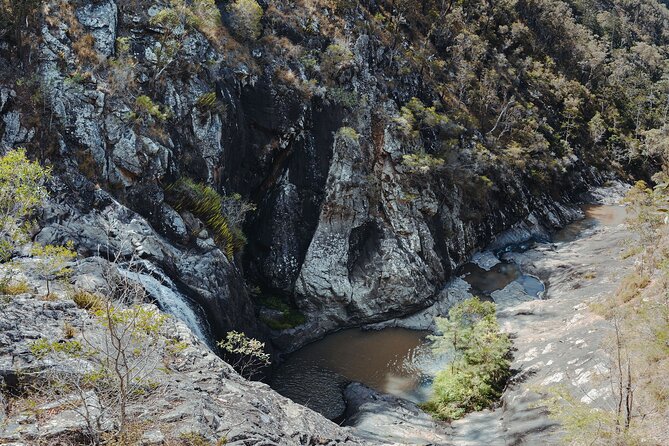 Springbrook Andtamborine Rainforest Tour Incl Natural Bridge and Glow Worm Cave - Meeting Point and Logistics