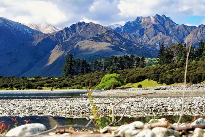 Stevensons Island Cruise and Nature Walk From Wanaka - Customer Feedback Highlights