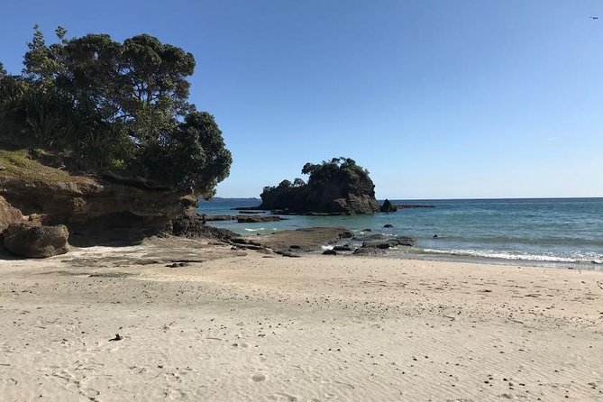 Stunning Auckland East Coast Walk & Wine Private Tour - Pricing Information