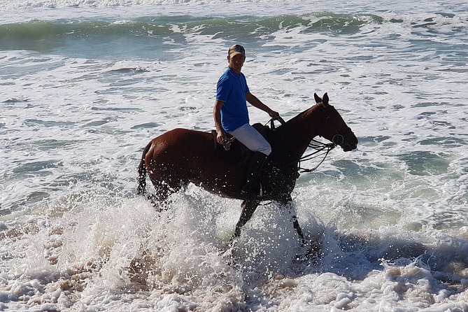 Stunning Sundown Beach Ride ... on Horseback! - Participant Reviews and Feedback