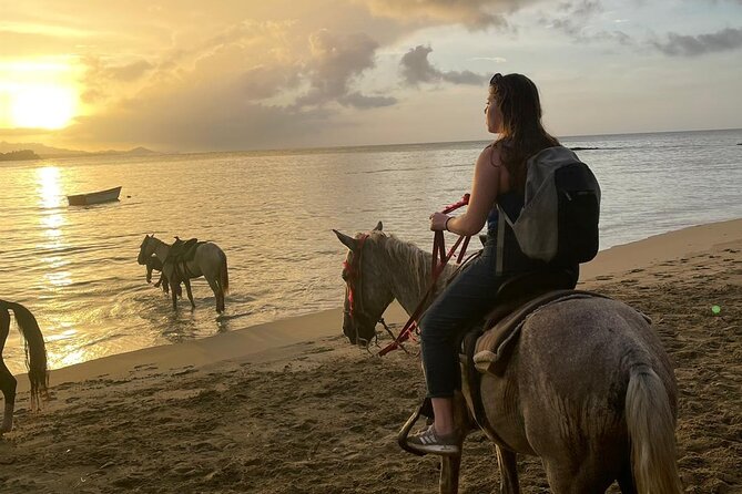 Sunset Beach Horseback Riding - Tips for a Memorable Ride